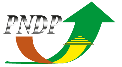 PNDP - Partenaire ADNDI Building